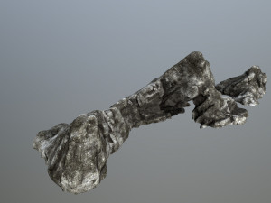 rocks 3D-Modell