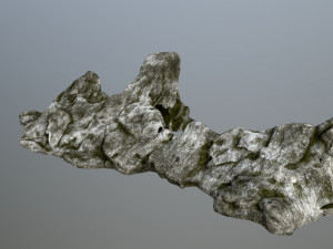 rocks 3Dモデル