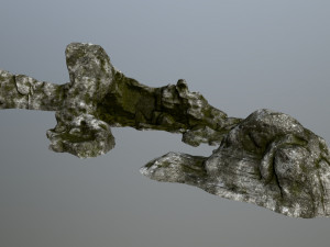 rocks 3Dモデル
