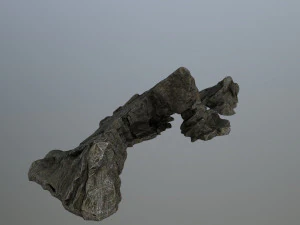 rocks 3D Model