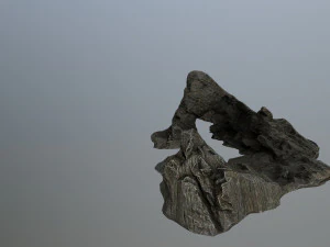 rocks 3D Model