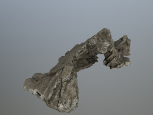 rocks 3D Model