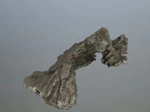 rocks 3D Model