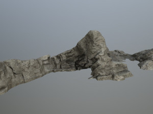 rocks 3D Model