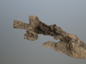 rocks 3D Model
