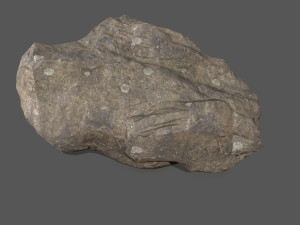 rocks 3D मॉडल