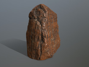 rock 3D Model
