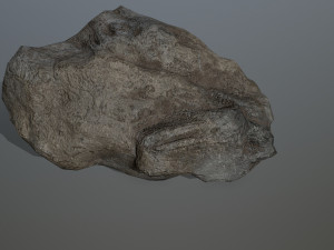 rocks 3D 모델