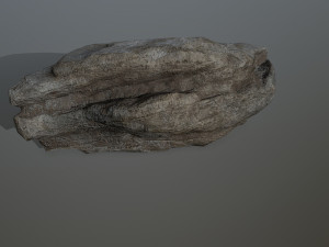 rocks 3D 모델