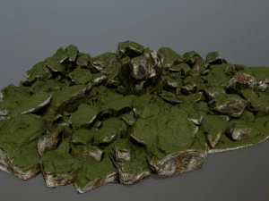 rocks 3D Model