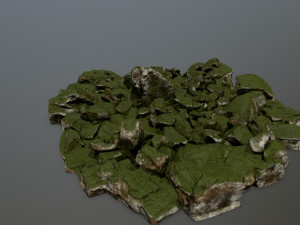 rocks 3D 모델