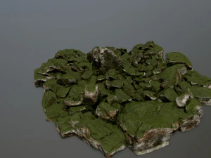rocks 3D Model