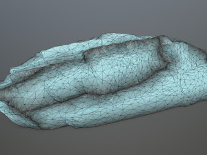 ice rocks 3D 모델