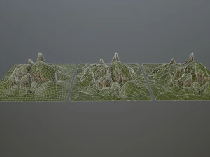 mossy rocks 3D Model