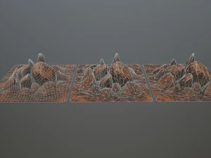 rock 3D Model