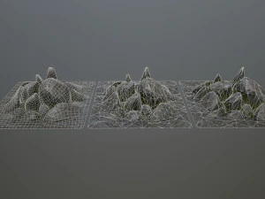 rock 3D Model
