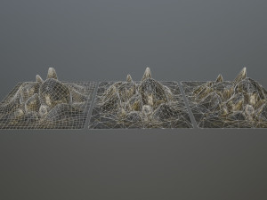 rock 3D Model