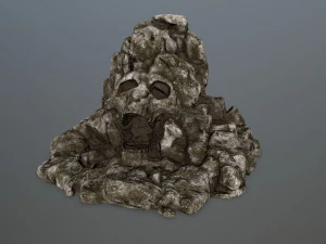 port&atilde;o do cr&acirc;nio Modelo 3D