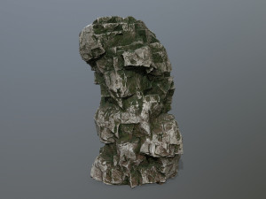 rock 3D Model