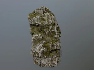 rock 3D Model