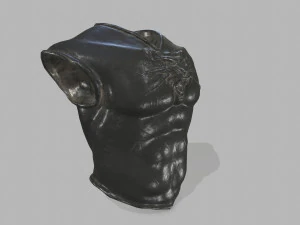 armor 3D Model