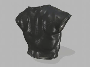 armor 3D Model