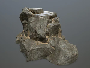 породи 3D Модель