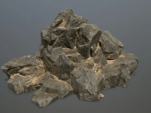 породи 3D Модель