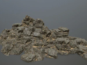 породи 3D Модель