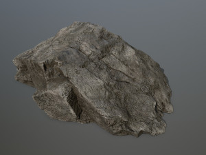 rocks 3D मॉडल