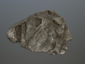 rock set 3D मॉडल