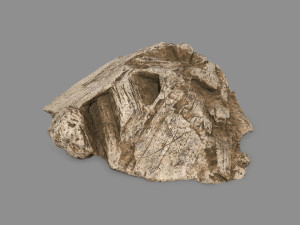 desert rock Modello 3D