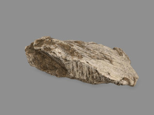 desert rock Modello 3D