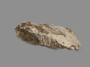 desert rock 3D Model
