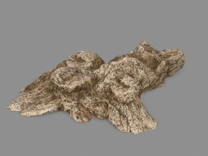 desert rock Modello 3D