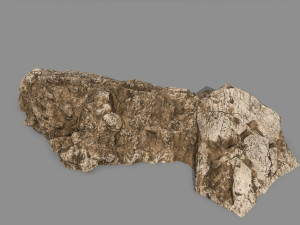 desert rock Modello 3D