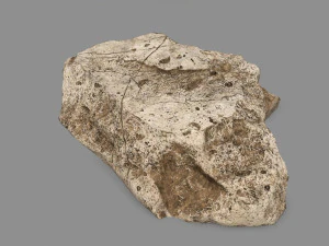 desert rock 3D Model