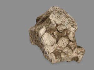 desert rock 3D Model