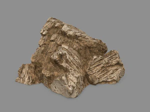 desert rock 3D Model