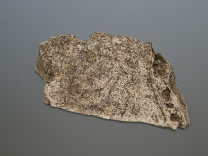 desert rock set 3D Model