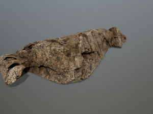 desert rock set 3D Model