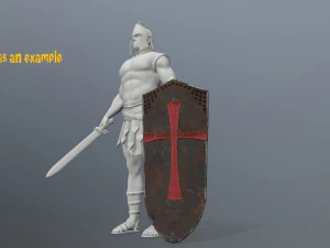 shields 3D Model