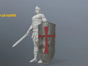 shields 3D Model