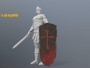 shields 3D Model