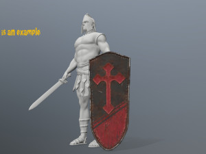 shields 3D Model