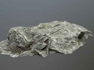 rocks 3D Model