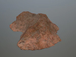 desert rock 3D Model