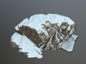snow rocks 3D 模型