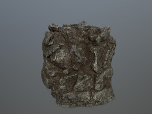 rocks 3Dモデル