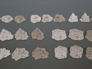 rocks 3D Model